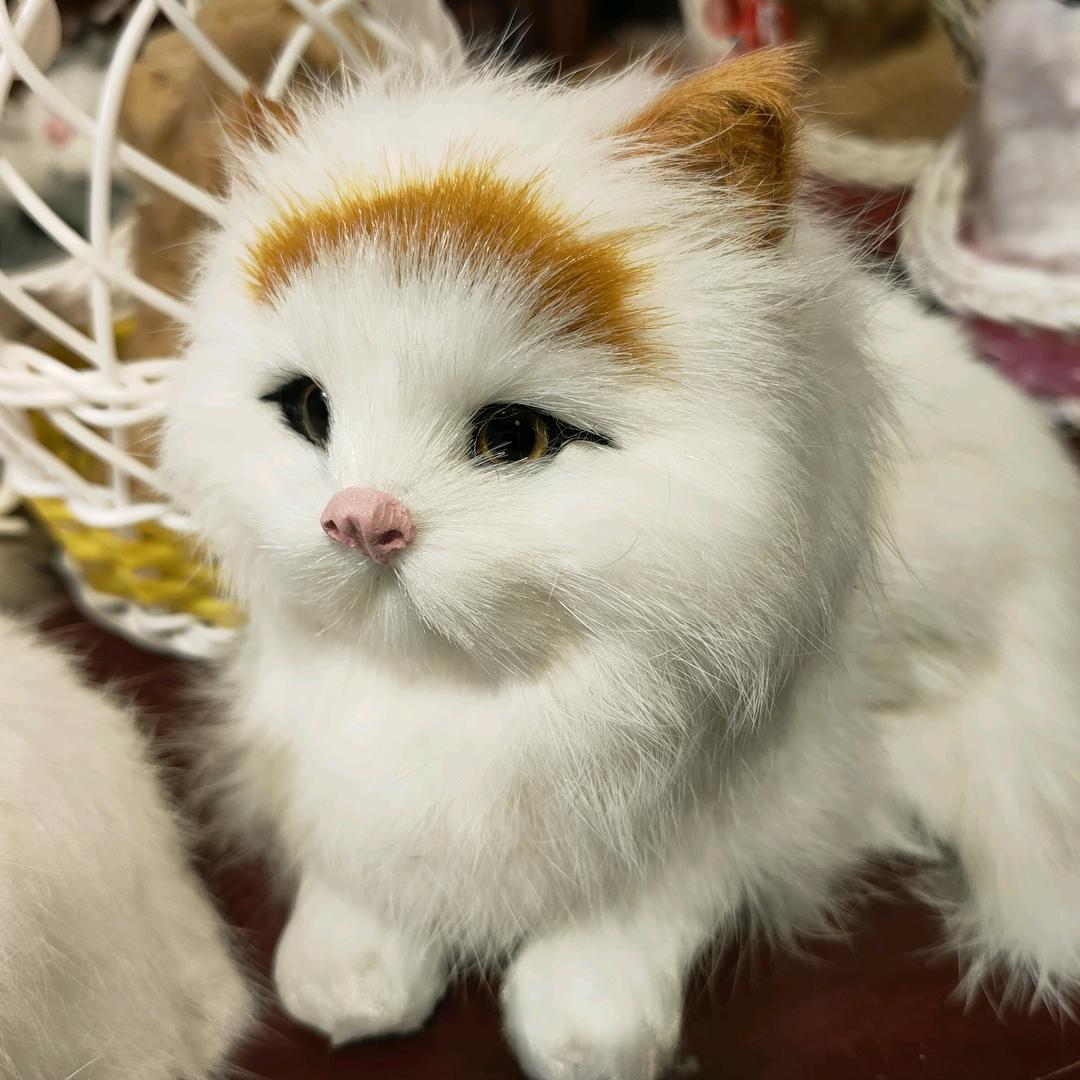 满眼星陈