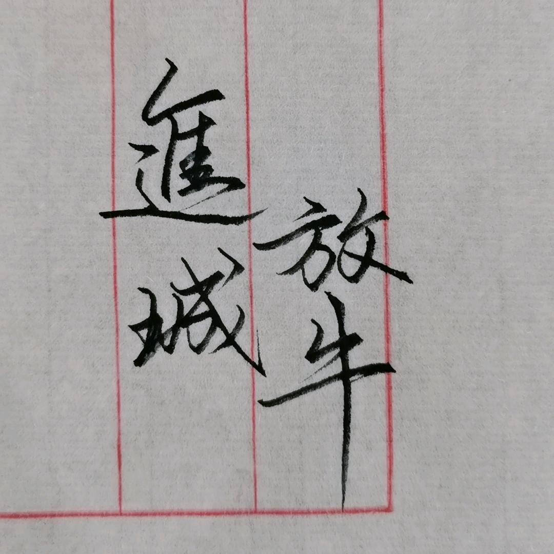 放牛