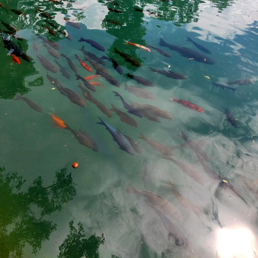 财源滚滚而来 19987567866