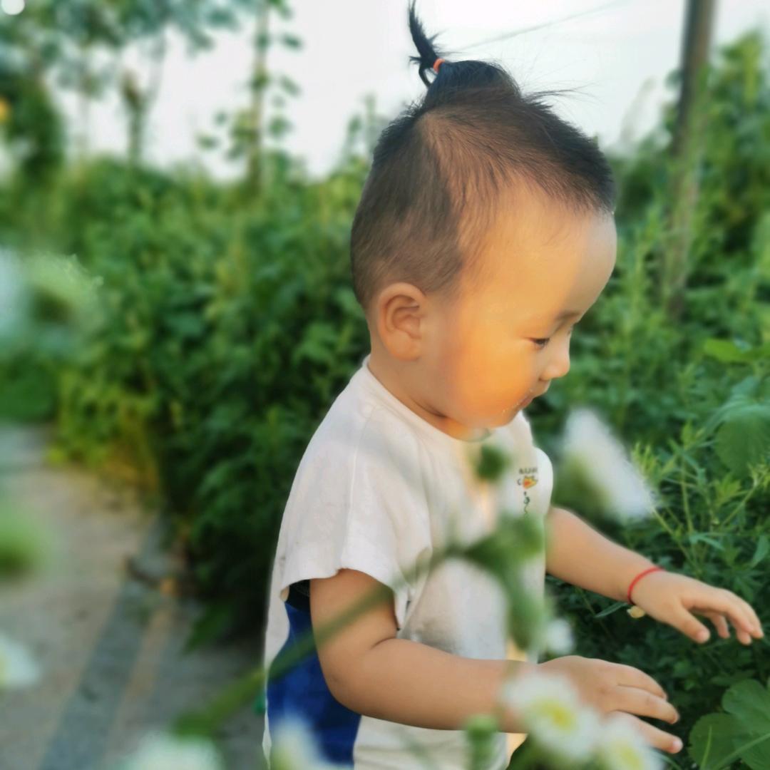 高楼东方圆饭店