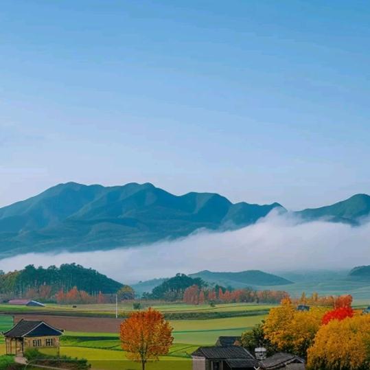 wu头像