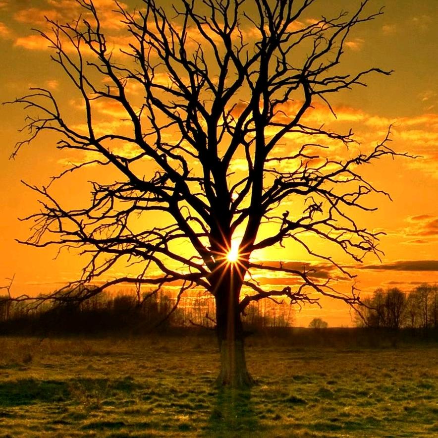 🔥亿傅(富)万年🔥FkT