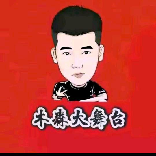 木森《精彩回放》