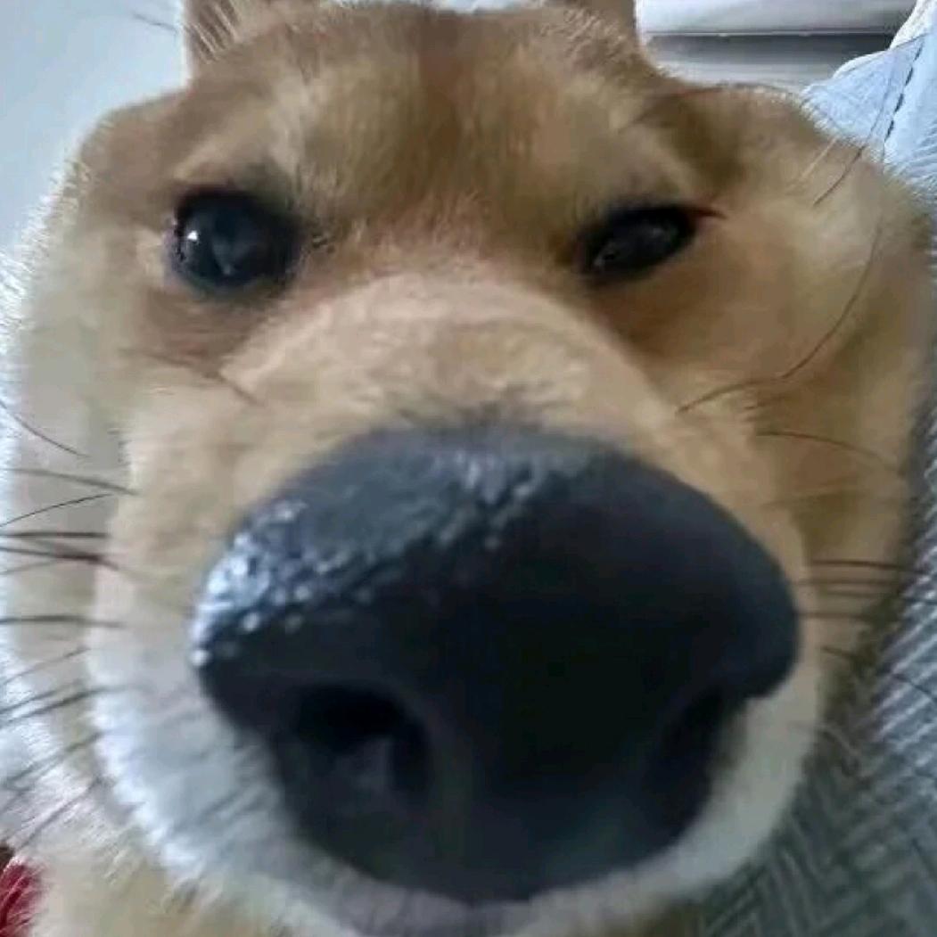 无白
