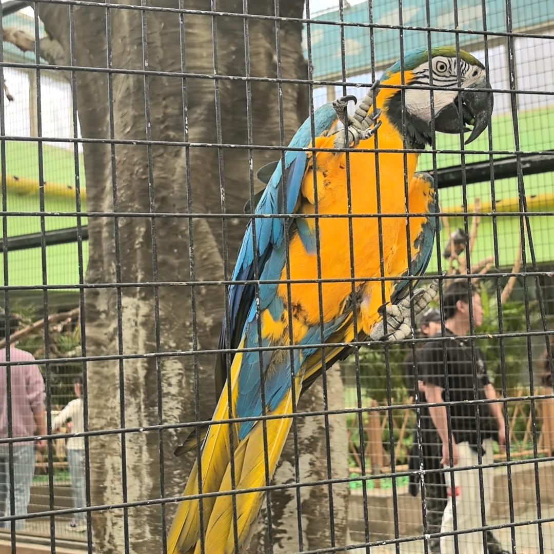 80后在廊坊做二手手机