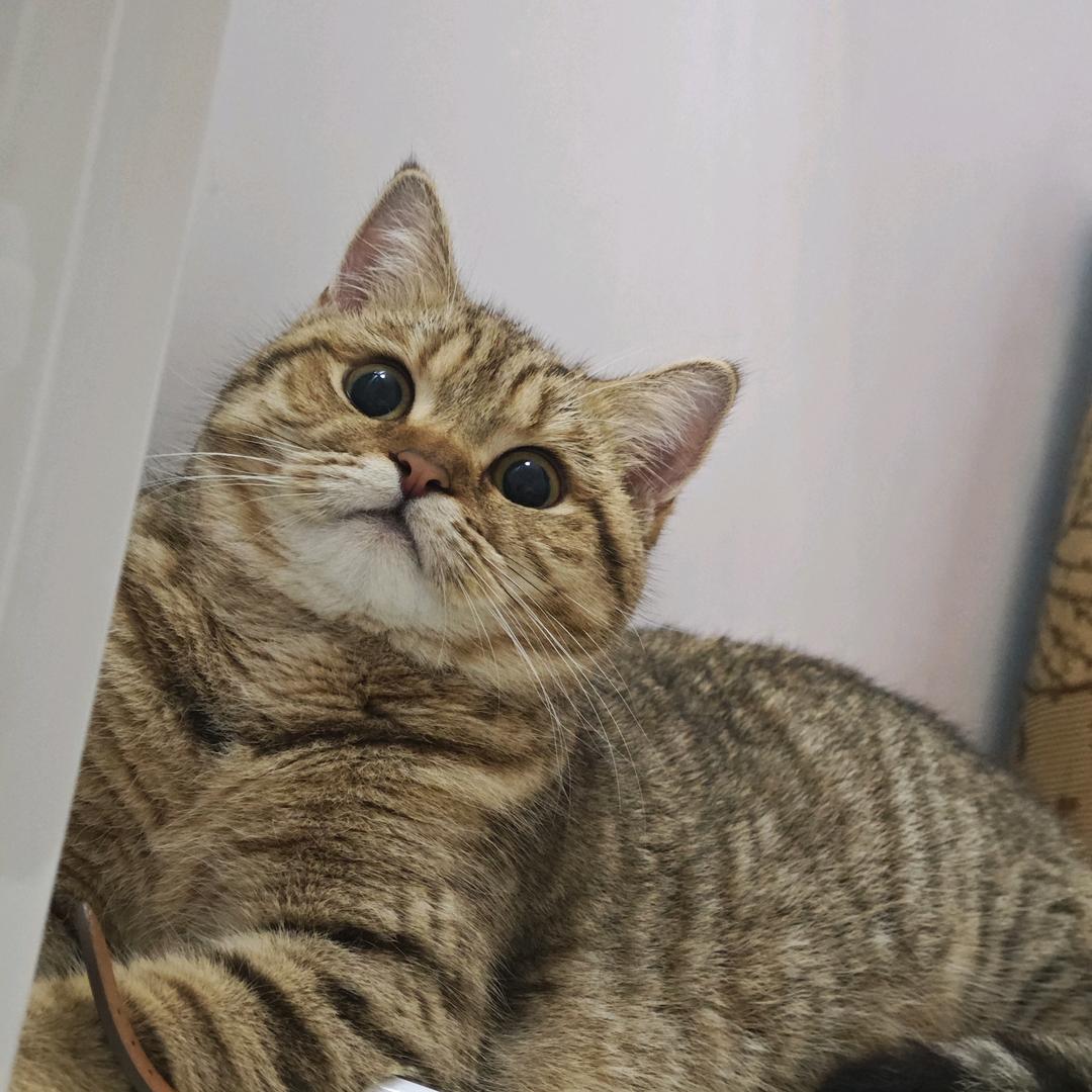 圈圈不转圈圈⭕️