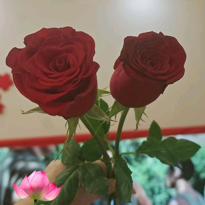 回忆💔💤