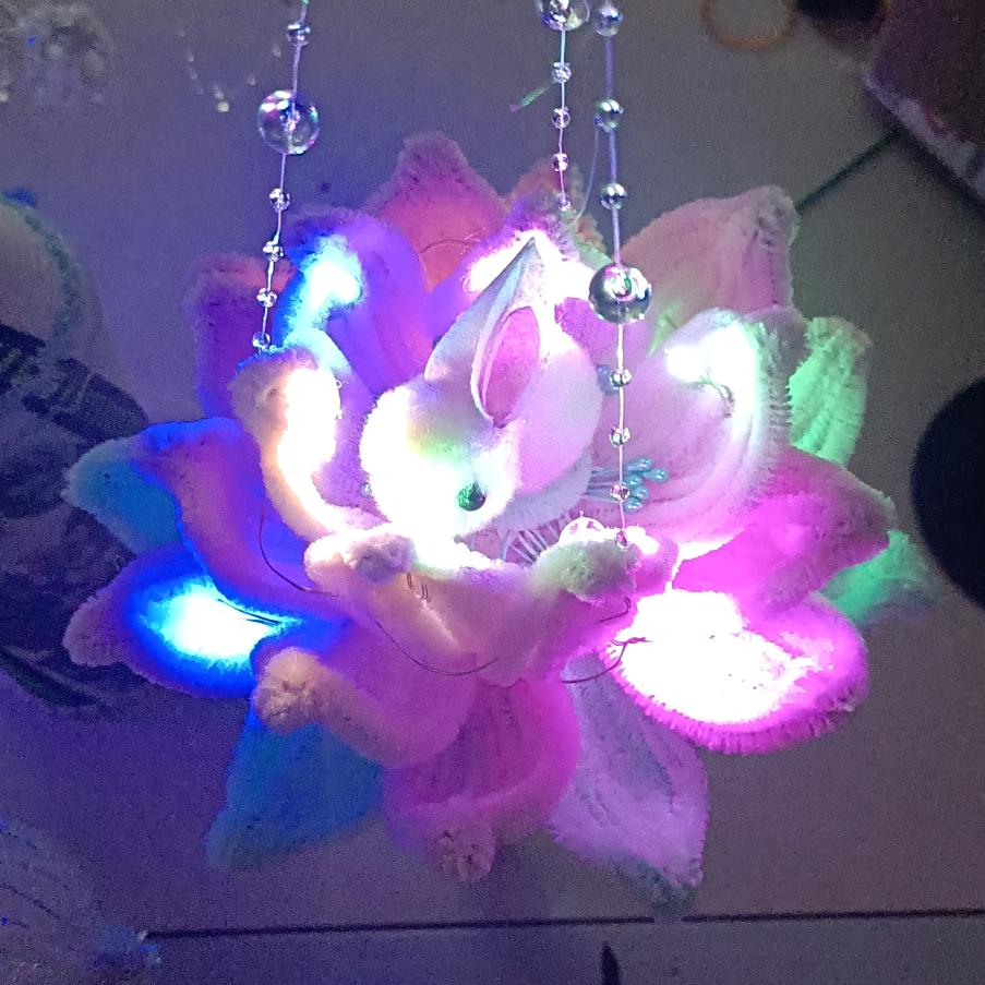 大妹🌹🌻🌺