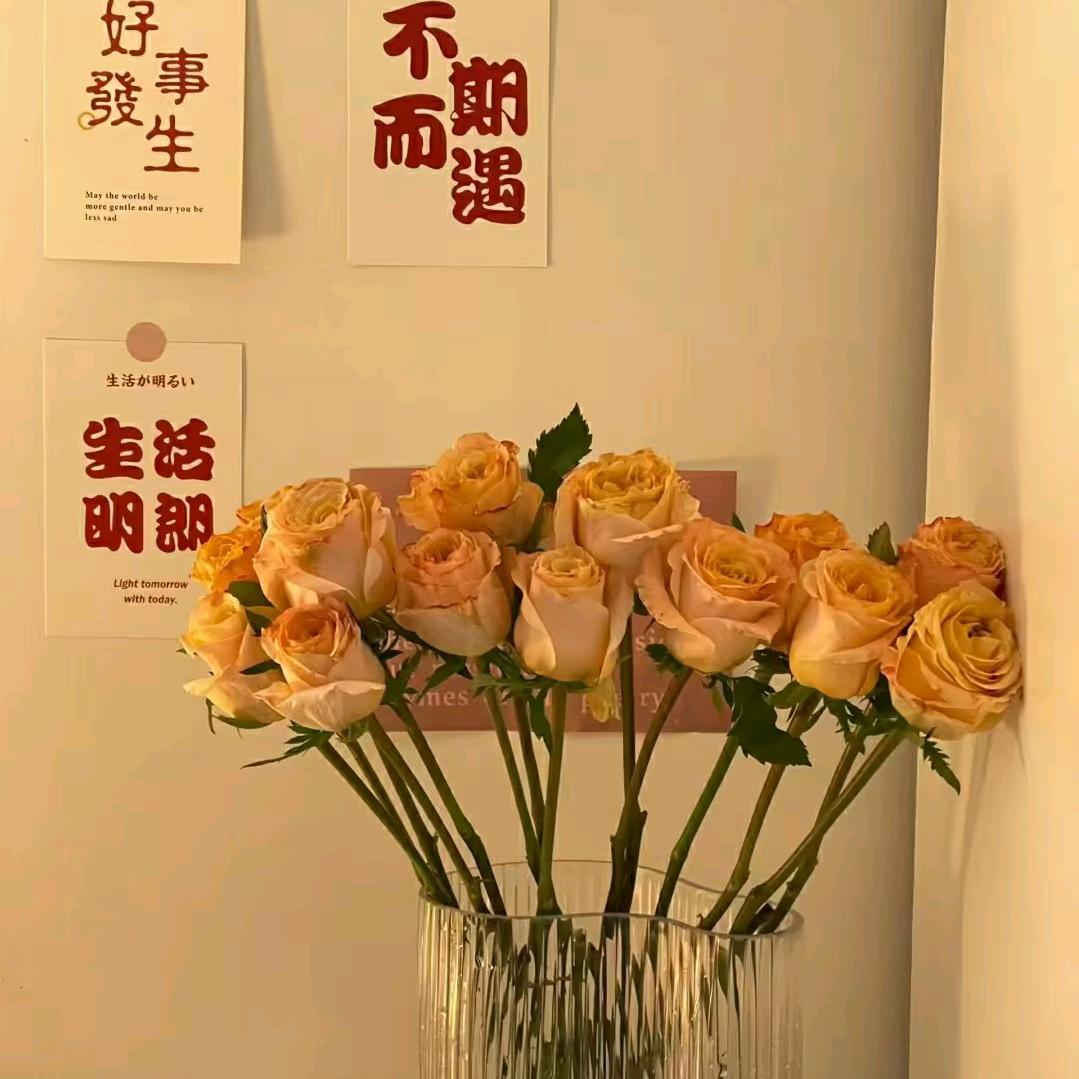余生不将就