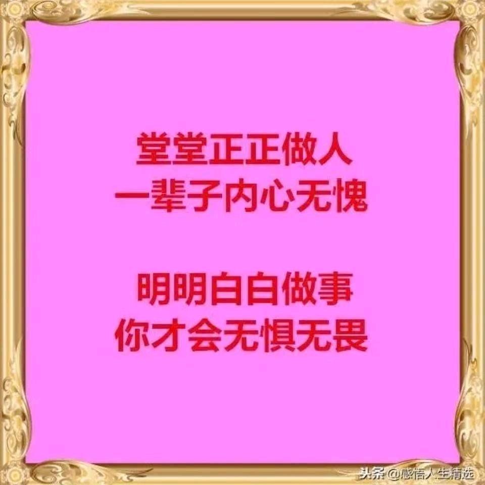 狼行天下，唯我独尊