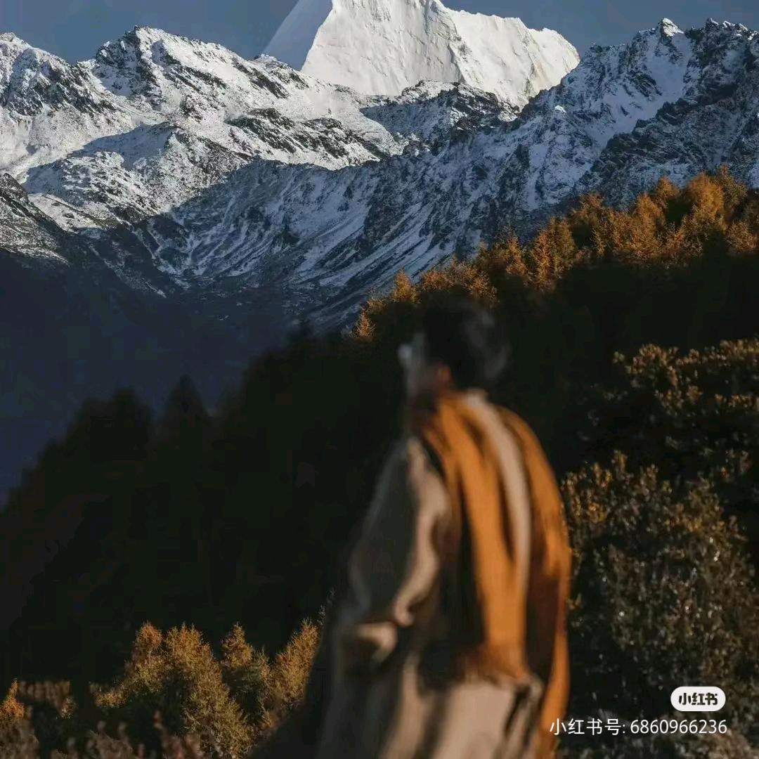 泡在奶油里