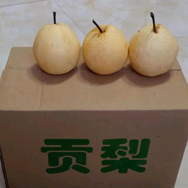 农村土特产