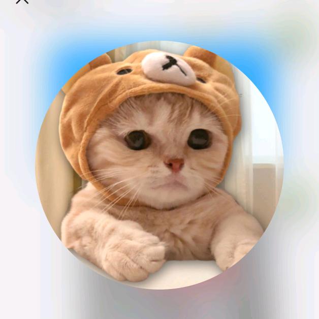 金聚鑫