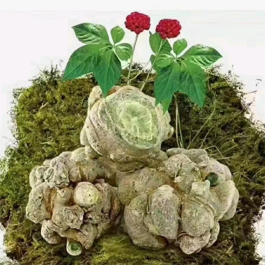 ❤️戒不掉的温柔💔