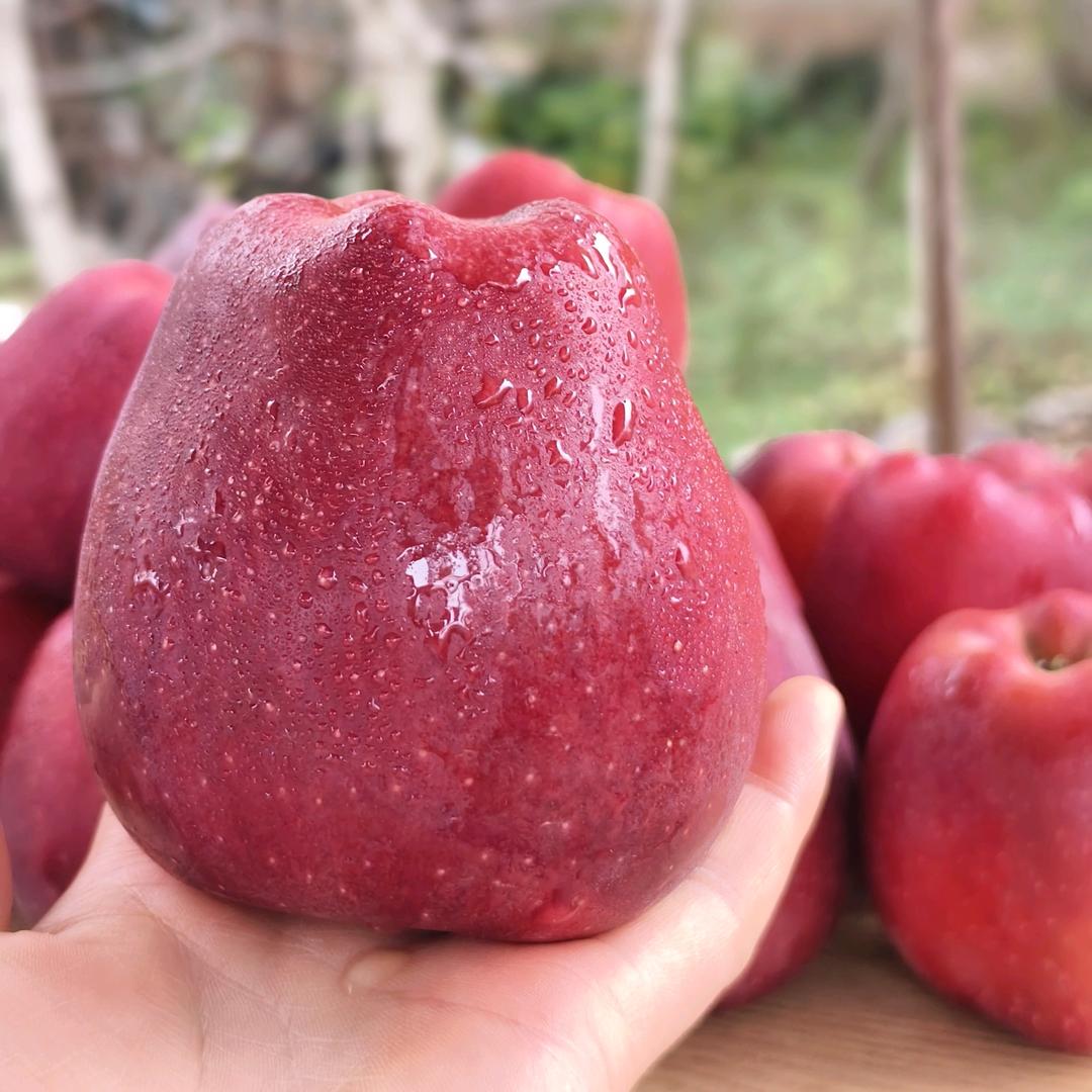 甘肃农产品小店