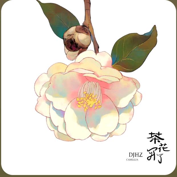 琪琪呢🥑