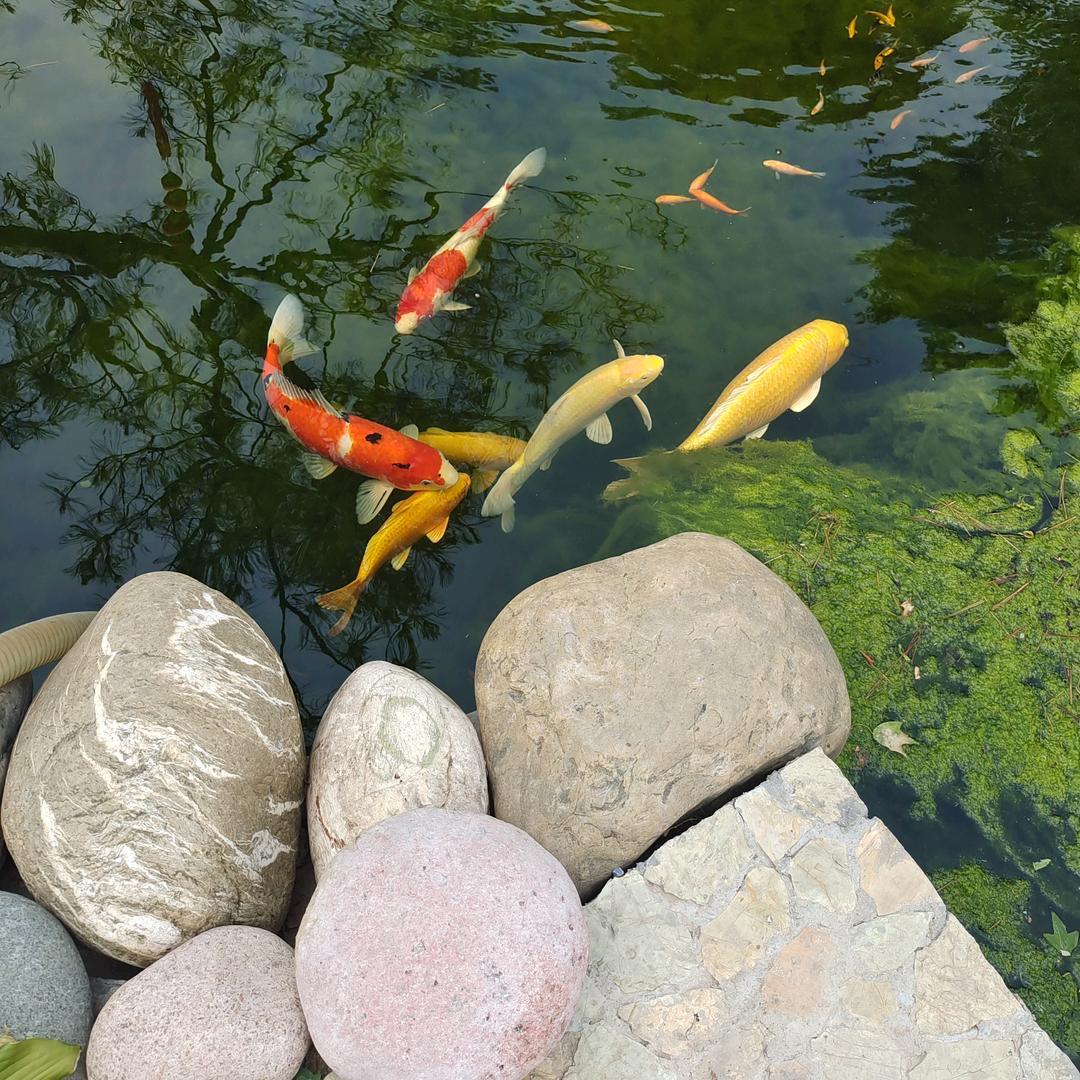 为明天加油＾０＾~加油