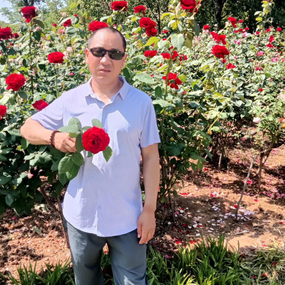 虎开开心心888666