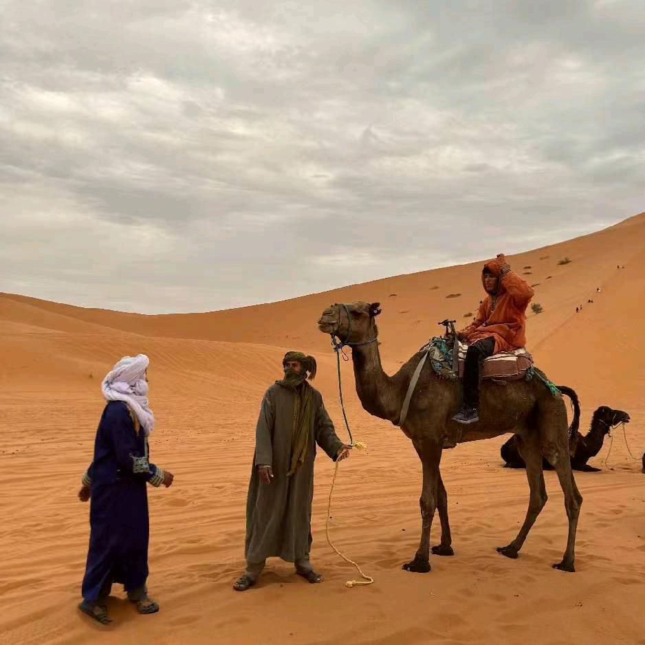 向日葵（腾达）