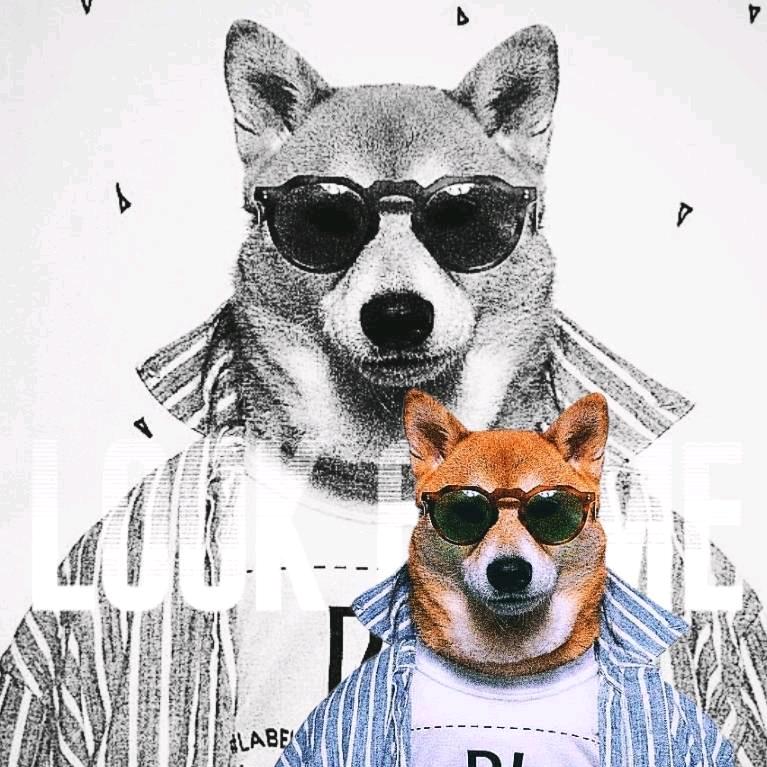 00后阿坤(北漂失败沪漂版)