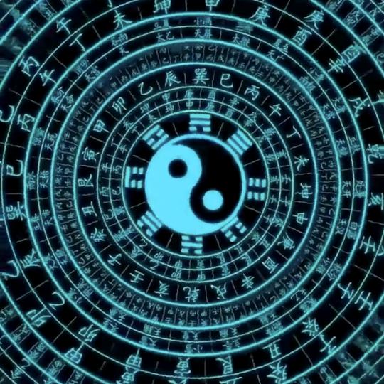 专业白术30年🐟