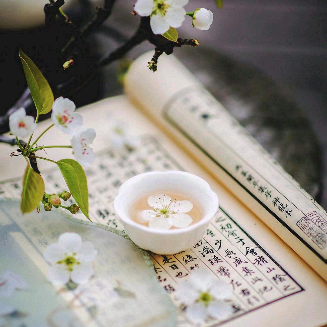 茗雪*音乐盒