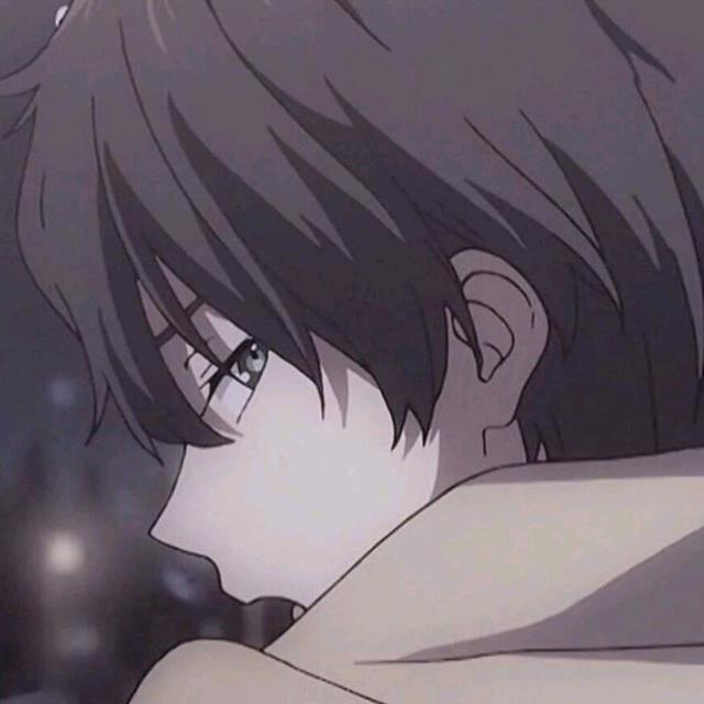 率直灰熊