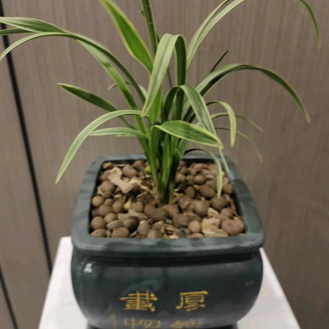 彼此