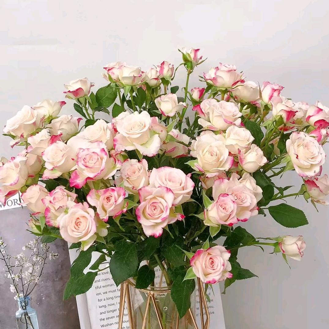 富闹儿鲜花