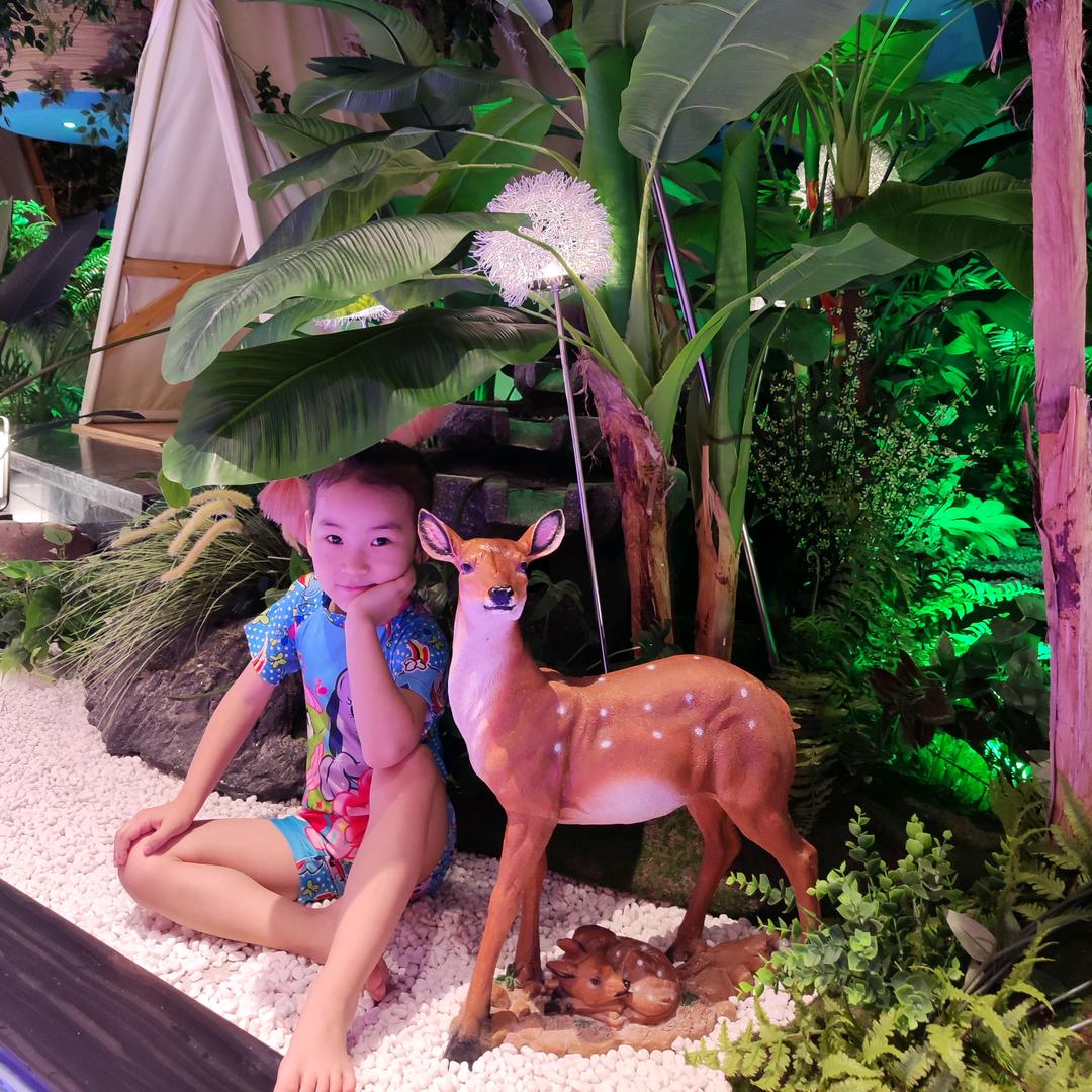 漂洋过海来看苏