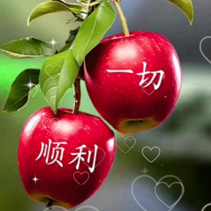 好运连连✌️🎄