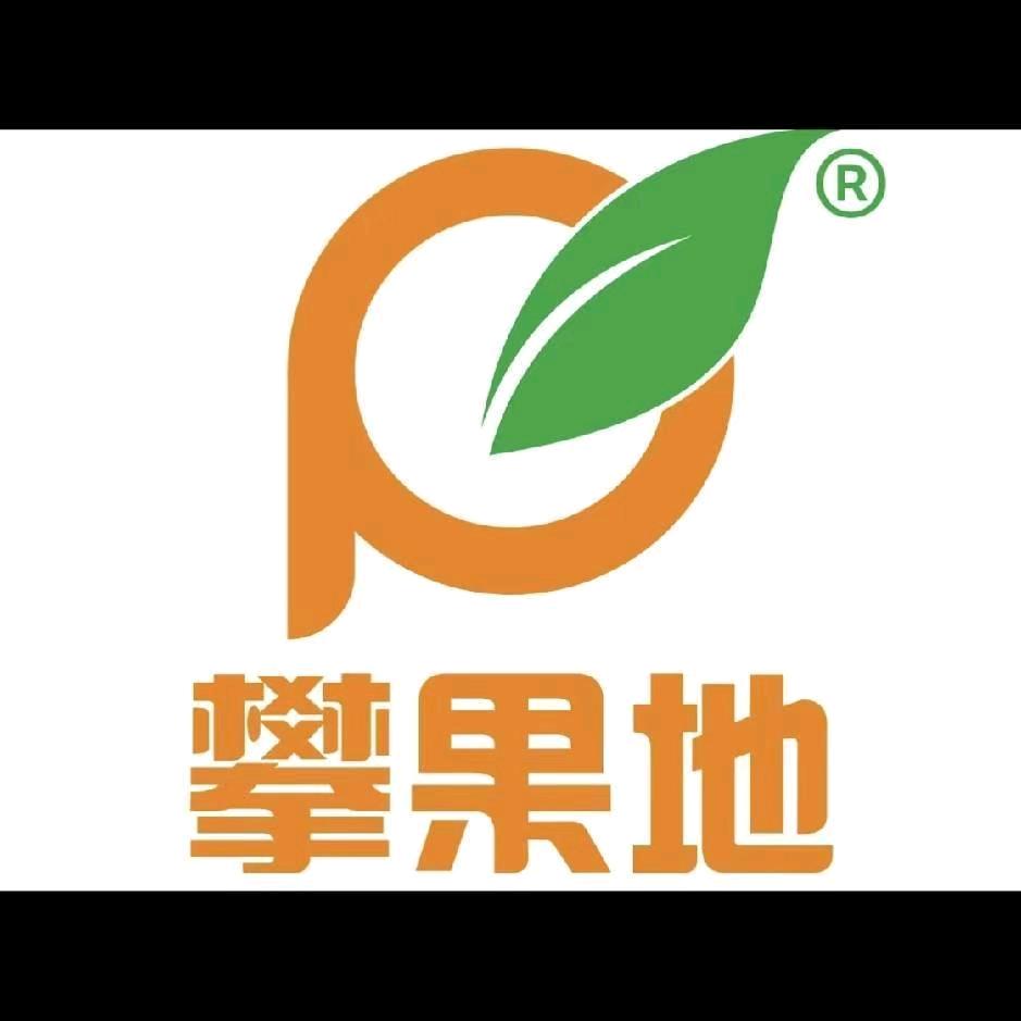 攀果地宣汉店