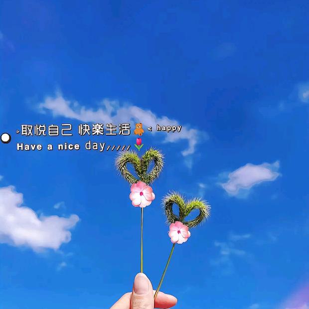 毛呢大衣