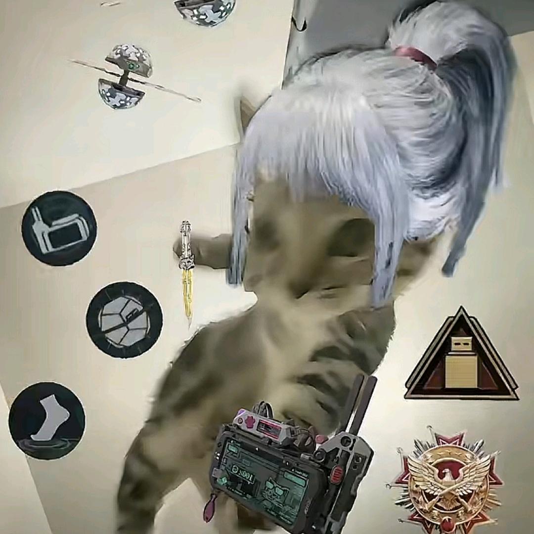 米奇大王