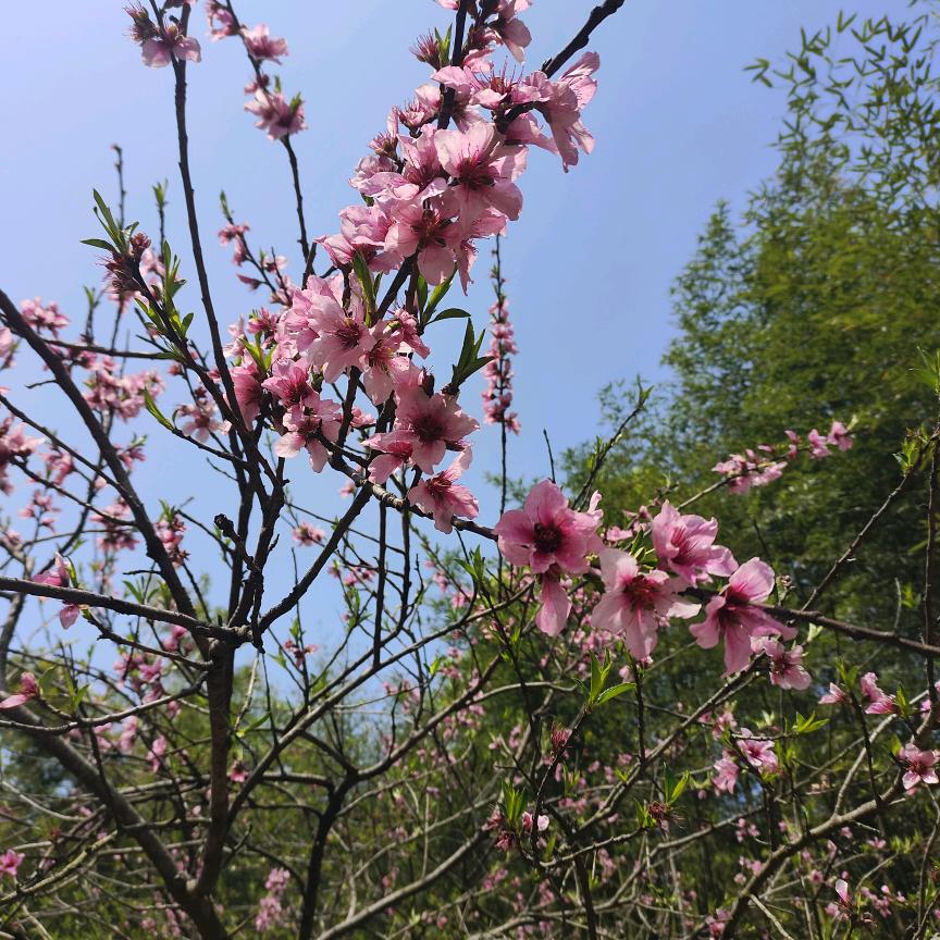 简易不惑