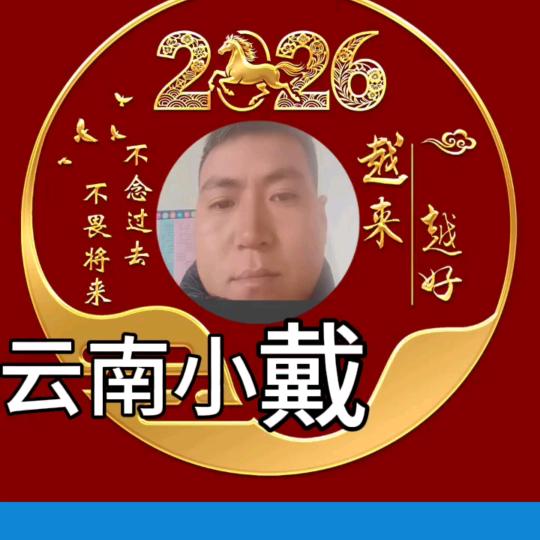 云南小戴