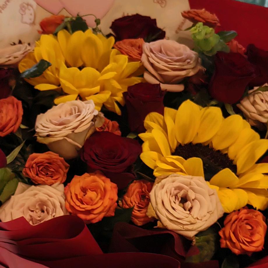 天之蓝（拒私聊、合拍）