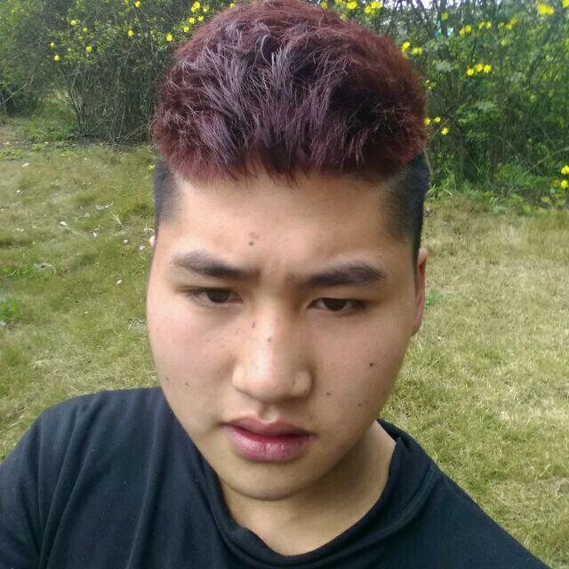 大气的小猫咪 vpi