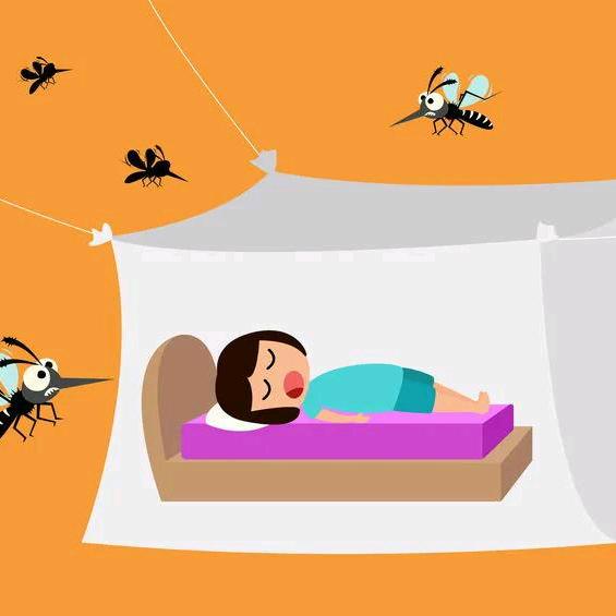 卓迪斯家居用品店