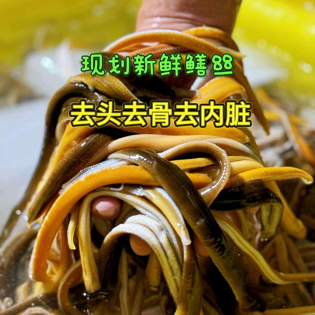 射丰渔业鳝丝