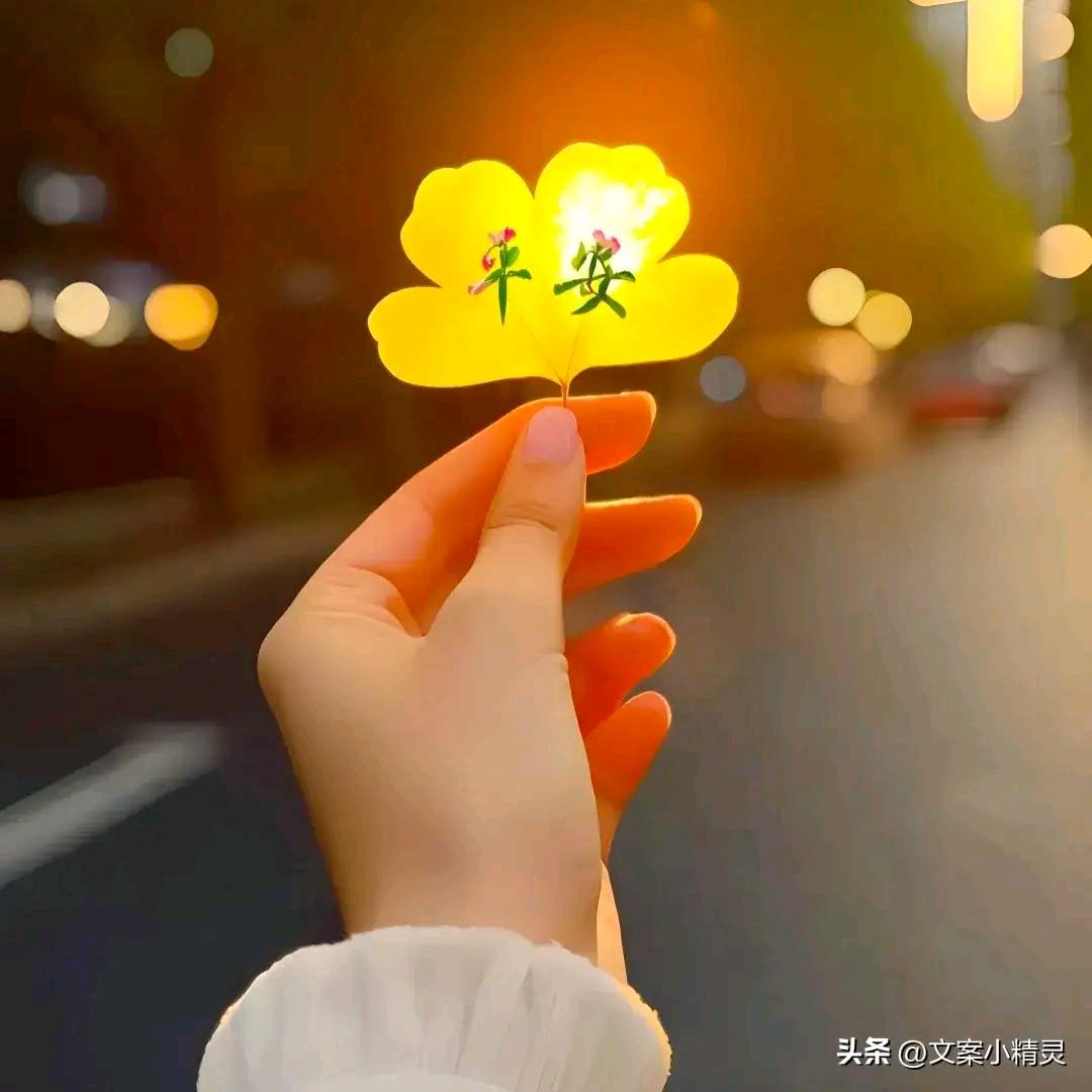 嘉琪9644