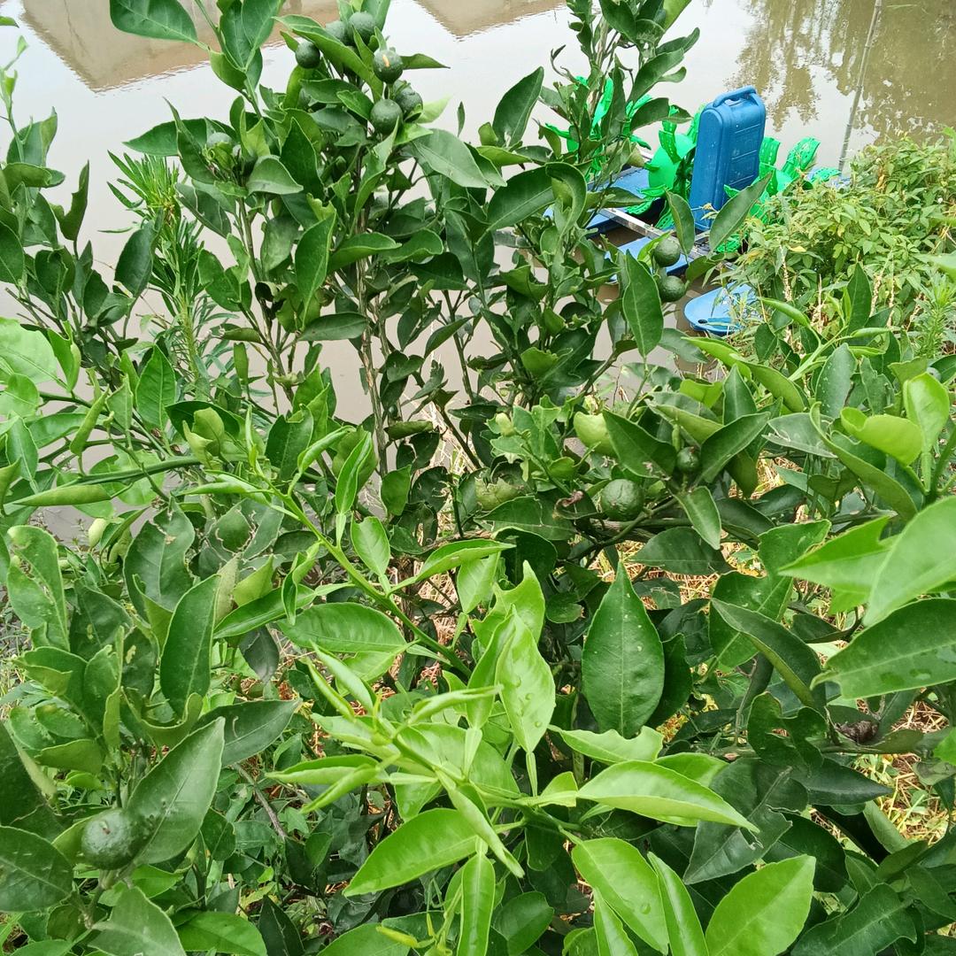 红哥哥哥哥哥哥哥哥哥哥哥哥哥哥哥哥哥哥哥