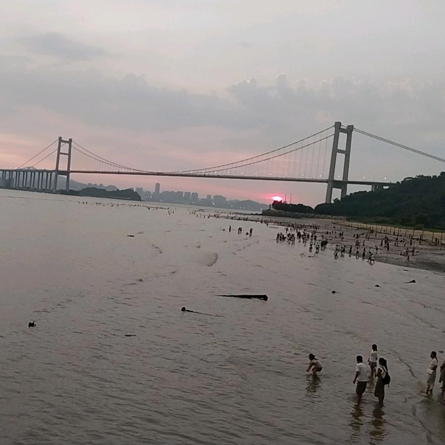 小黄