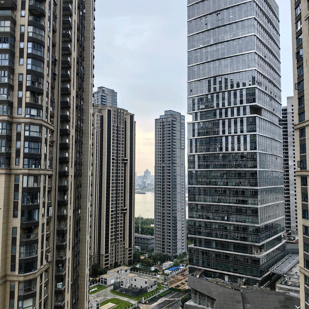 我爱小牛牛