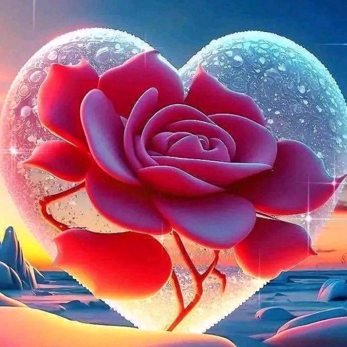 好 🌹🌹🌹🌹🌹🌹520