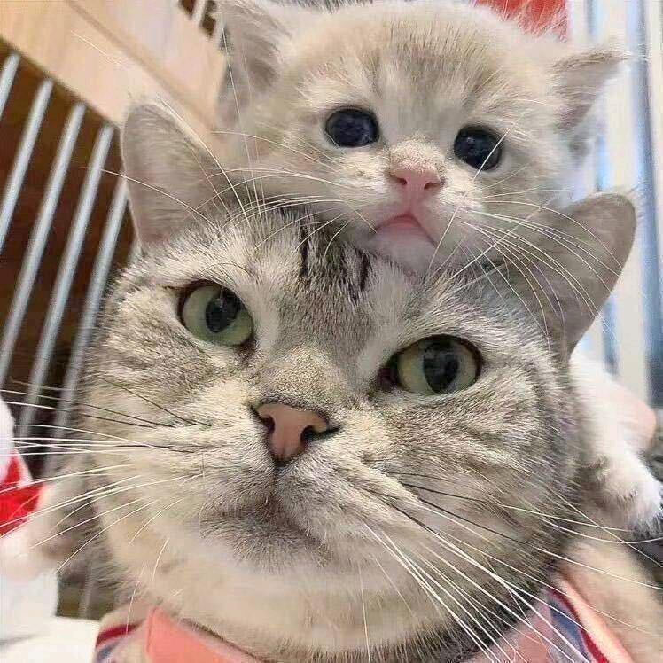 睡觉的时候不困