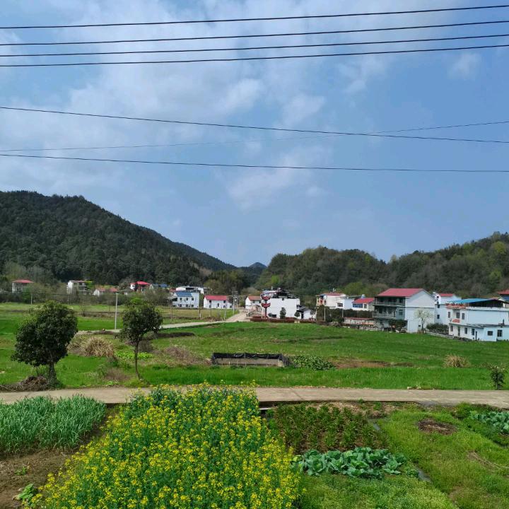余杰
