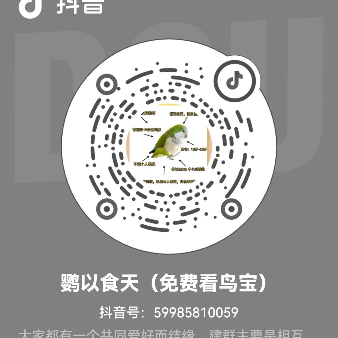 鹦以食为天（免费看鸟宝）