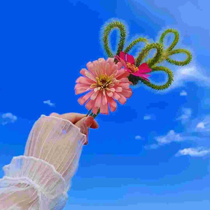 🦋开朗的女人💞