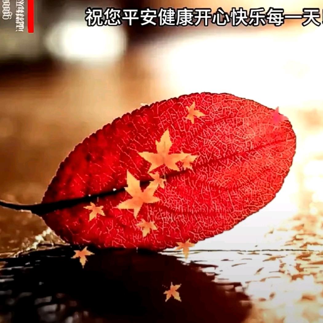 晓风宁静头像